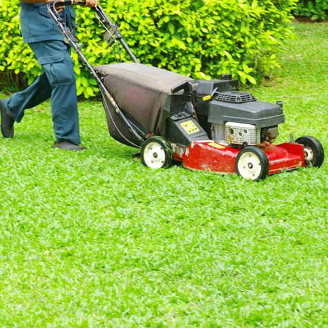 Limpieza de Cristales